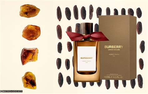 adventskalender burberry|burberry signatures for men.